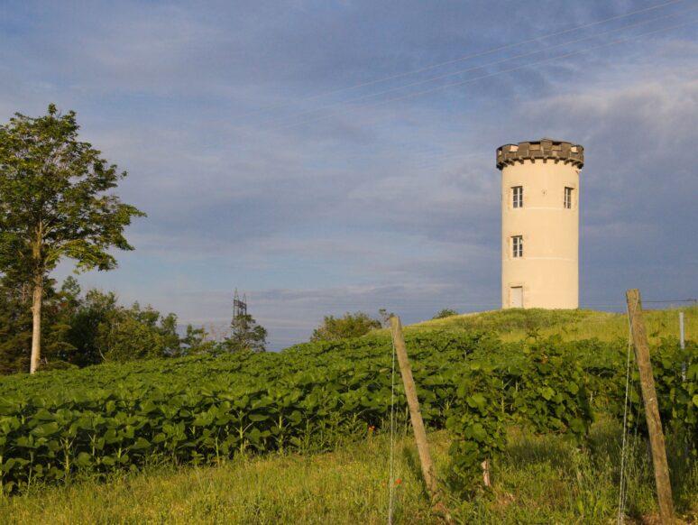 Un petit nid douilletPour deux personnes, passez une nuit en amoureux dans ce gîte insolite.