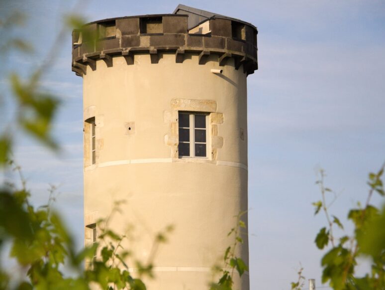 Au cœur des vignes Profitez-en pour visiter les caves du vignoble et découvrez le vin de Saint-Pourçain, vin d'appellation d'origine contrôlée.